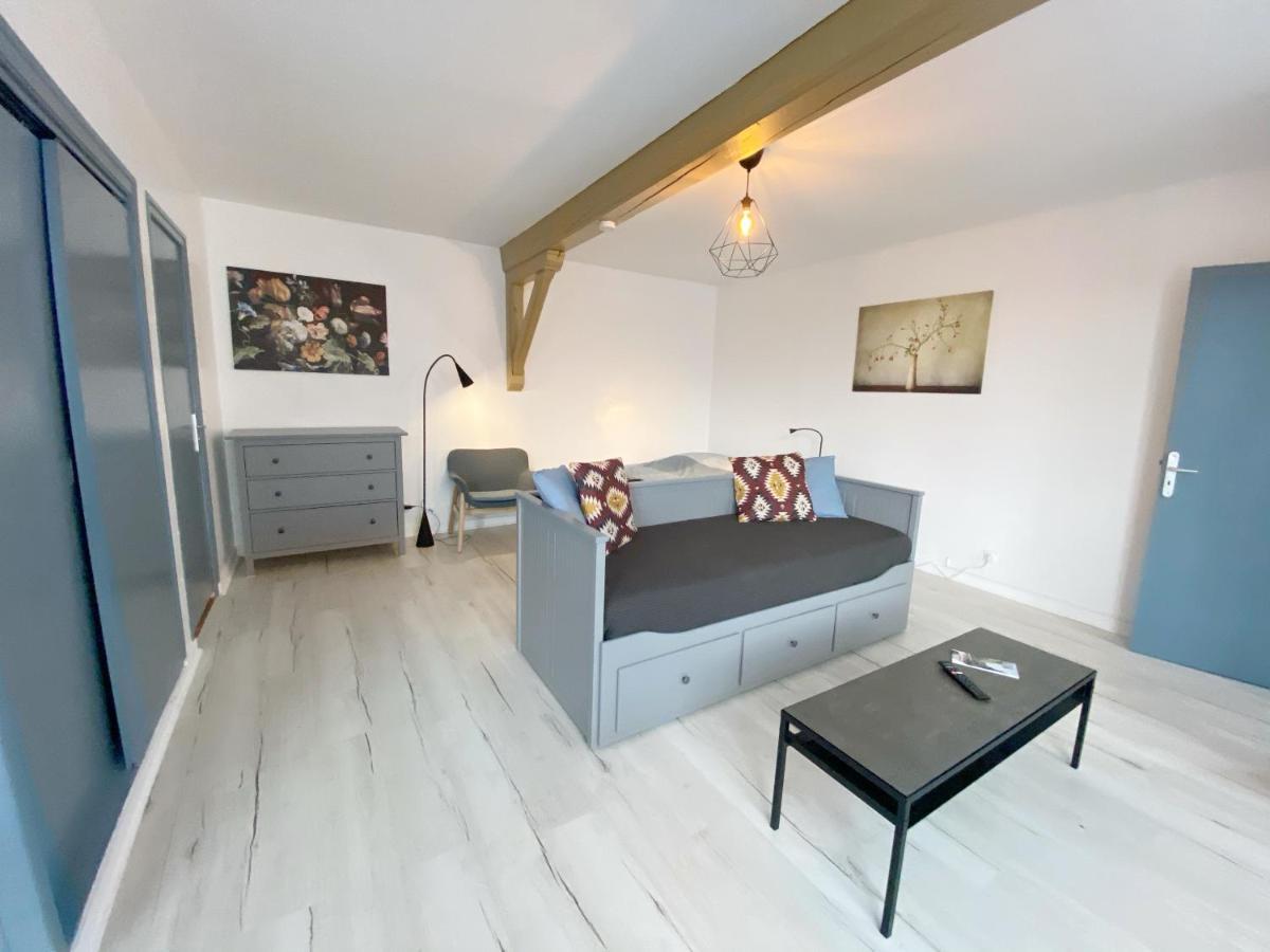 סן-אטיין 015 Chic & Cosy Studio 41M2 Hypercentre Wifi Smart Tv Netflix מראה חיצוני תמונה
