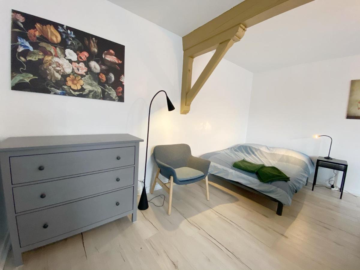 סן-אטיין 015 Chic & Cosy Studio 41M2 Hypercentre Wifi Smart Tv Netflix מראה חיצוני תמונה